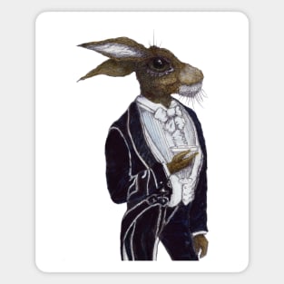 DARCY HARE Magnet